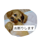 DMリキくん（個別スタンプ：14）