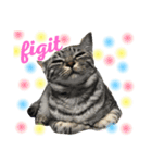 BOSSKUDDSILUBA（個別スタンプ：10）