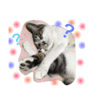 BOSSKUDDSILUBA（個別スタンプ：13）