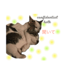 BOSSKUDDSILUBA（個別スタンプ：15）