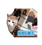 猫family2（個別スタンプ：19）