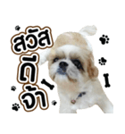 Little soda（個別スタンプ：7）