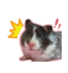 Olive Hamster and her friends（個別スタンプ：5）