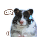 Olive Hamster and her friends（個別スタンプ：7）