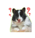 Olive Hamster and her friends（個別スタンプ：9）