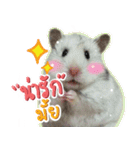 Olive Hamster and her friends（個別スタンプ：12）
