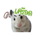 Olive Hamster and her friends（個別スタンプ：13）