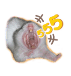 Olive Hamster and her friends（個別スタンプ：14）