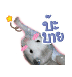 Olive Hamster and her friends（個別スタンプ：15）