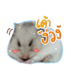 Olive Hamster and her friends（個別スタンプ：16）
