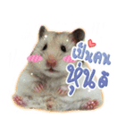 Olive Hamster and her friends（個別スタンプ：19）