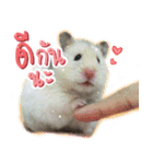 Olive Hamster and her friends（個別スタンプ：21）