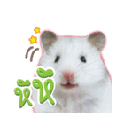 Olive Hamster and her friends（個別スタンプ：22）