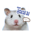 Olive Hamster and her friends（個別スタンプ：23）