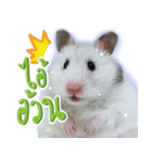 Olive Hamster and her friends（個別スタンプ：24）