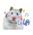 Olive Hamster and her friends（個別スタンプ：25）