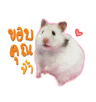 Olive Hamster and her friends（個別スタンプ：26）