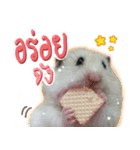 Olive Hamster and her friends（個別スタンプ：27）