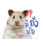 Olive Hamster and her friends（個別スタンプ：29）