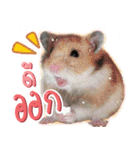 Olive Hamster and her friends（個別スタンプ：30）