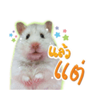 Olive Hamster and her friends（個別スタンプ：31）