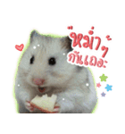 Olive Hamster and her friends（個別スタンプ：33）