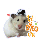 Olive Hamster and her friends（個別スタンプ：34）