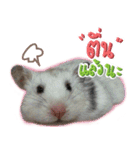 Olive Hamster and her friends（個別スタンプ：35）