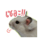 Olive Hamster and her friends（個別スタンプ：37）
