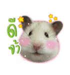 Olive Hamster and her friends（個別スタンプ：39）