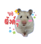 Olive Hamster and her friends（個別スタンプ：40）