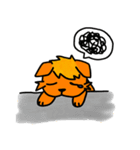 cute coyotes（個別スタンプ：21）