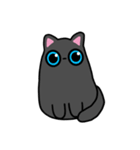 Three big eyes cat（個別スタンプ：1）