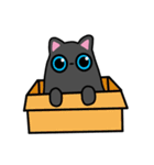 Three big eyes cat（個別スタンプ：2）