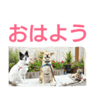 千エ乙ファミリー♪（個別スタンプ：1）