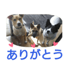 千エ乙ファミリー♪（個別スタンプ：2）