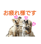 千エ乙ファミリー♪（個別スタンプ：3）