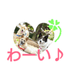 千エ乙ファミリー♪（個別スタンプ：4）
