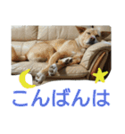 千エ乙ファミリー♪（個別スタンプ：5）
