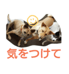 千エ乙ファミリー♪（個別スタンプ：6）