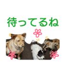 千エ乙ファミリー♪（個別スタンプ：7）