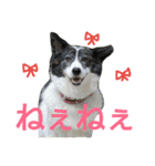 千エ乙ファミリー♪（個別スタンプ：9）