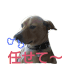 千エ乙ファミリー♪（個別スタンプ：10）