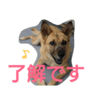 千エ乙ファミリー♪（個別スタンプ：11）