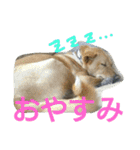 千エ乙ファミリー♪（個別スタンプ：13）