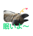 千エ乙ファミリー♪（個別スタンプ：14）