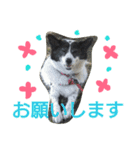 千エ乙ファミリー♪（個別スタンプ：15）