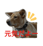 千エ乙ファミリー♪（個別スタンプ：16）