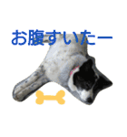 千エ乙ファミリー♪（個別スタンプ：18）