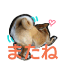千エ乙ファミリー♪（個別スタンプ：19）